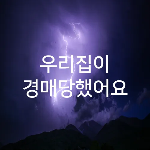 우리집이 경매당했어요