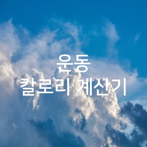 운동 칼로리 계산기