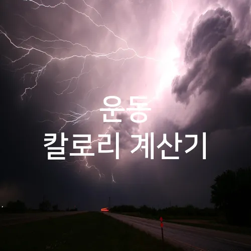 운동 칼로리 계산기