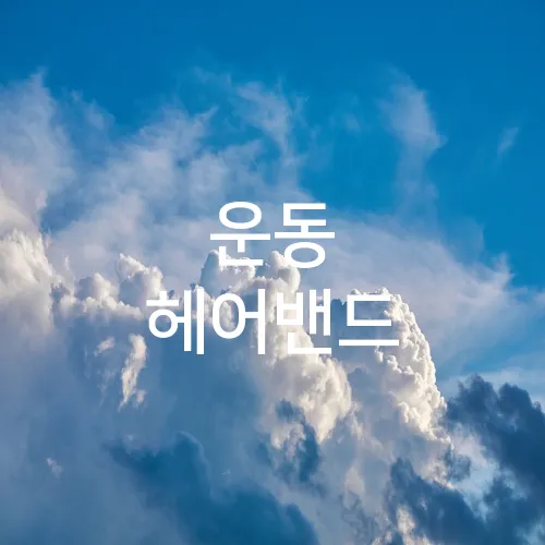 운동 헤어밴드