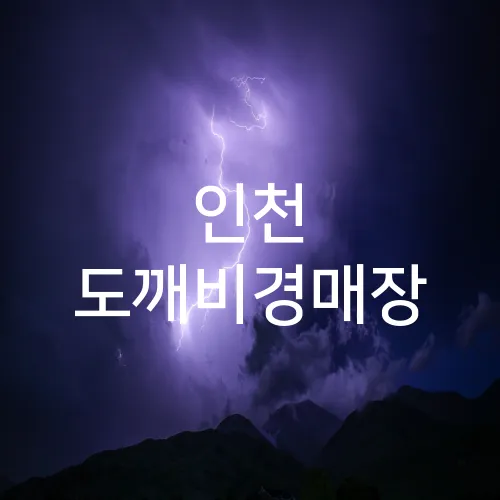 인천 도깨비경매장