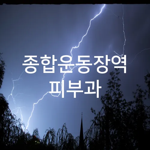 종합운동장역 피부과