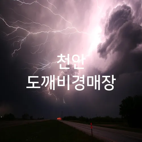 천안 도깨비경매장