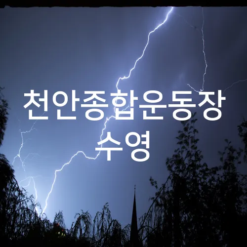 천안종합운동장 수영