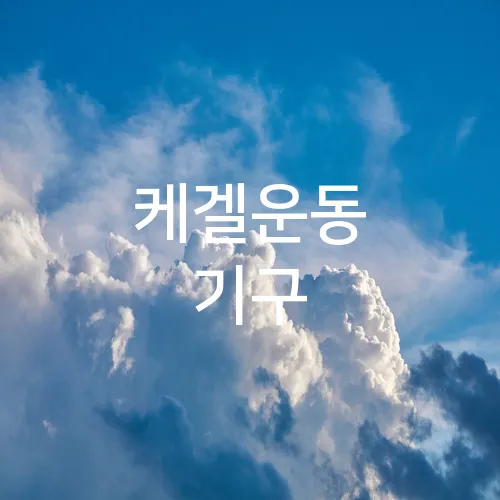 케겔운동 기구