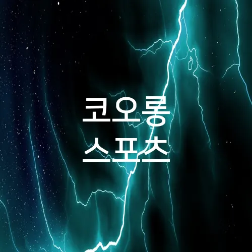 코오롱 스포츠