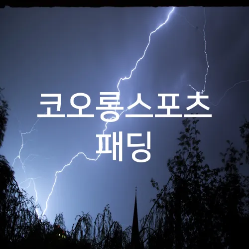 코오롱스포츠 패딩