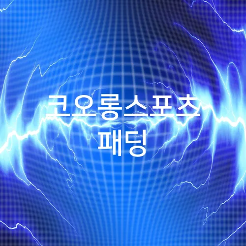 코오롱스포츠 패딩