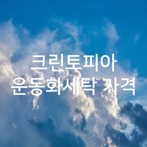 크린토피아 운동화세탁 가격