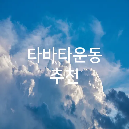 타바타운동 추천