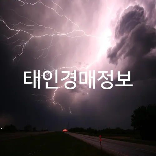 태인경매정보