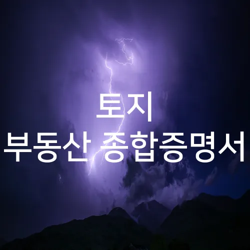 토지 부동산 종합증명서