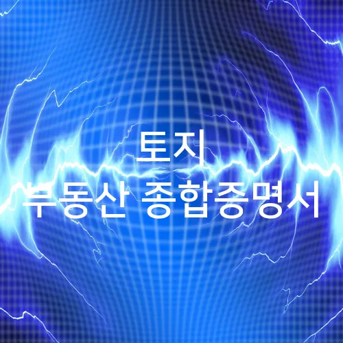 토지 부동산 종합증명서