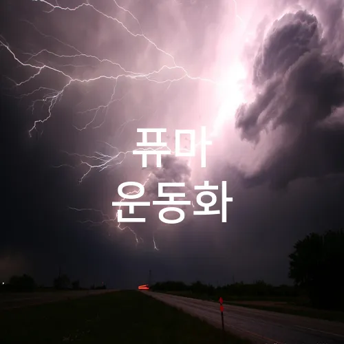 퓨마 운동화