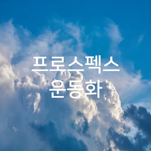 프로스펙스 운동화