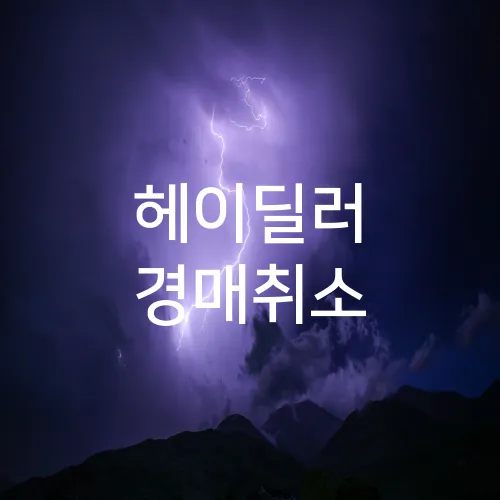 헤이딜러 경매취소