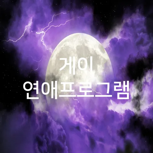 게이 연애프로그램
