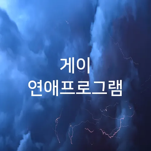 게이 연애프로그램