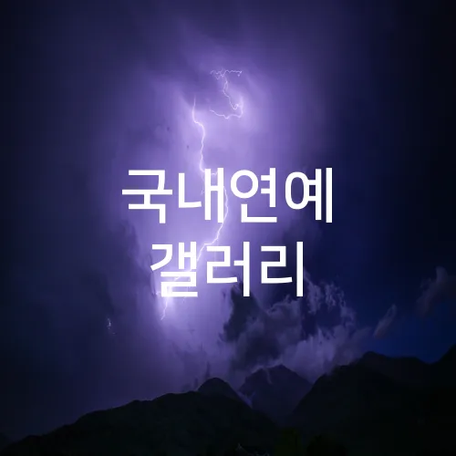 국내연예 갤러리