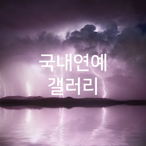 국내연예 갤러리