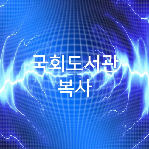 국회도서관 복사