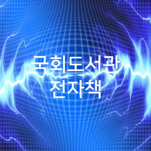 국회도서관 전자책