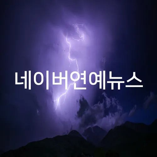 네이버연예뉴스