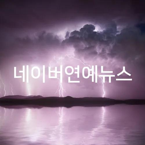 네이버연예뉴스