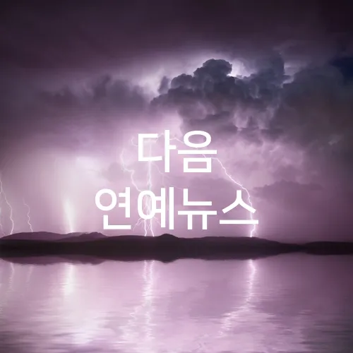 다음 연예뉴스