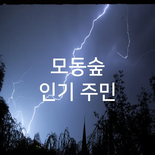 모동숲 인기 주민