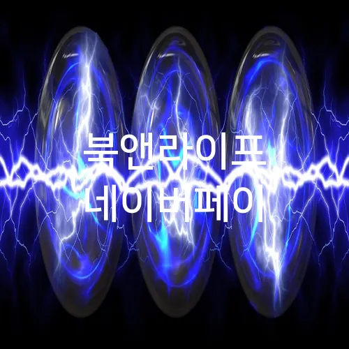 북앤라이프 네이버페이