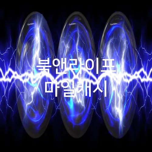 북앤라이프 마일캐시