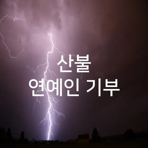 산불 연예인 기부