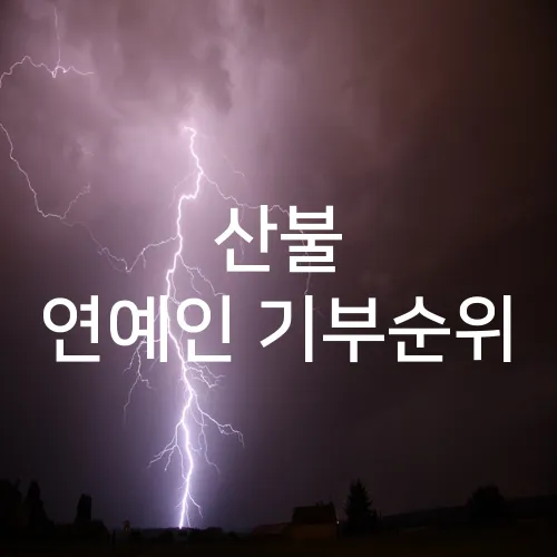 산불 연예인 기부순위
