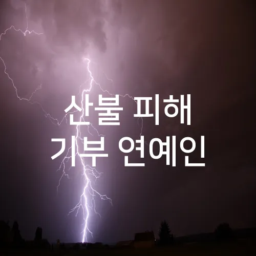 산불 피해 기부 연예인