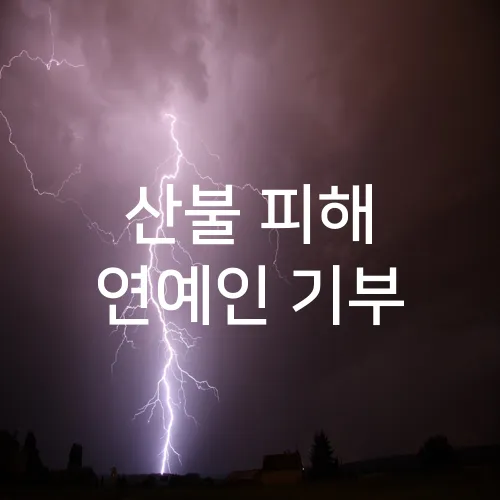 산불 피해 연예인 기부