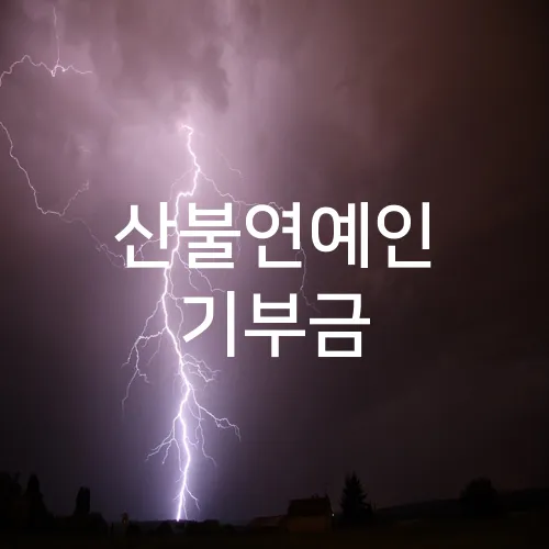 산불연예인 기부금