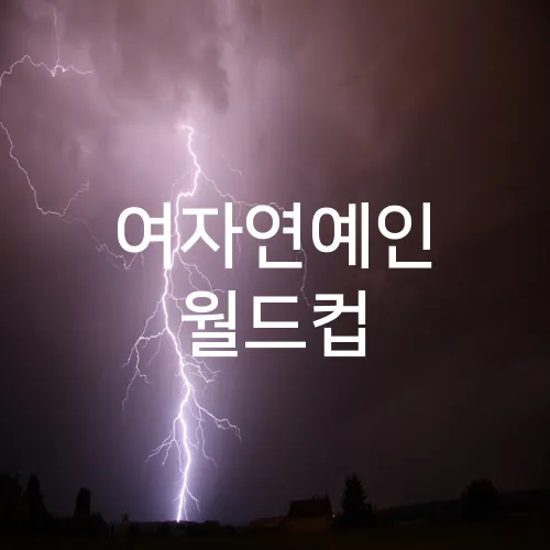 여자연예인 월드컵