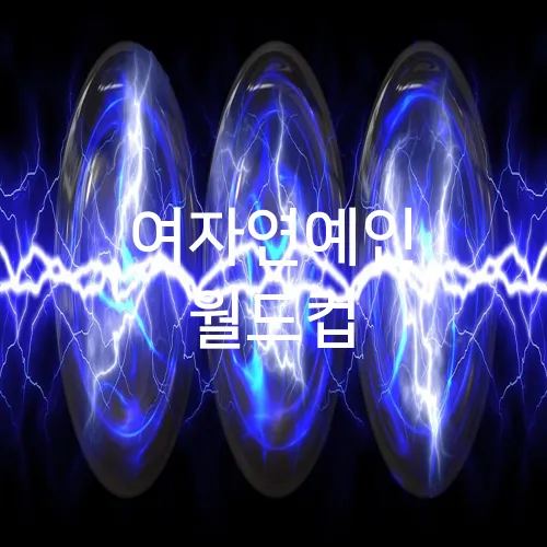 여자연예인 월드컵