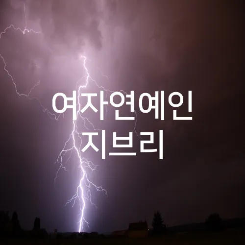 여자연예인 지브리