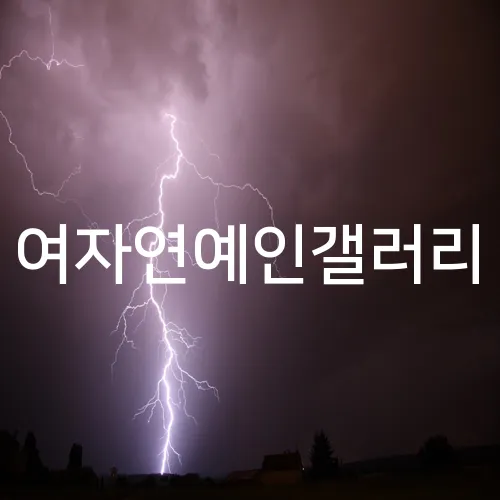 여자연예인갤러리