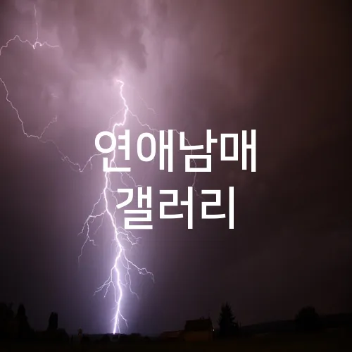 연애남매 갤러리