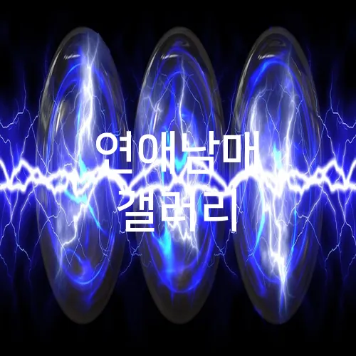 연애남매 갤러리