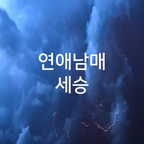 연애남매 세승