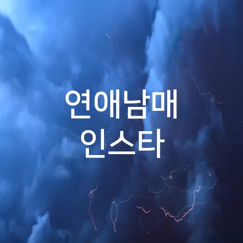 연애남매 인스타