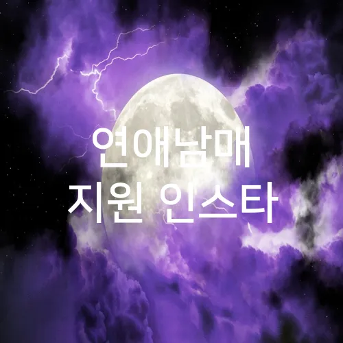 연애남매 지원 인스타