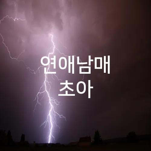 연애남매 초아