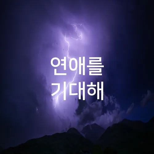연애를 기대해