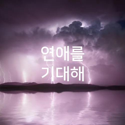연애를 기대해