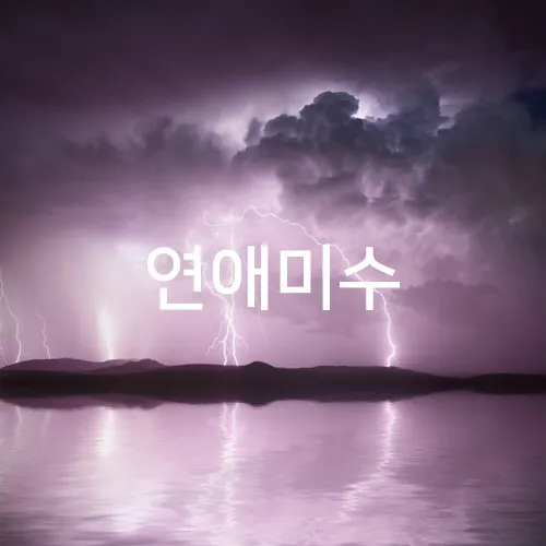 연애미수